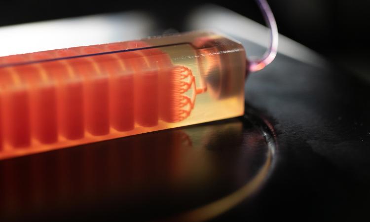 3D printed blood cell trap